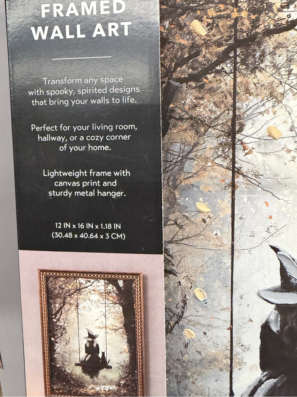 ALDI Witch on Swing Framed Wall Art - Picture 4 of 4
